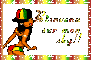 *bienvenu*
